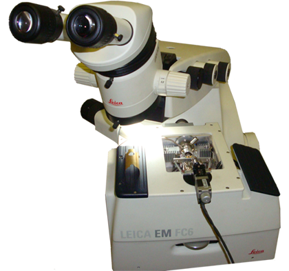 Snotra – атомно-силовой микроскоп, интегрированный в крио-ультрамикротом.