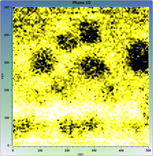 Indium phosphide (InP) on sapphire surface. AFM image. Semi-contact mode. Phase image.