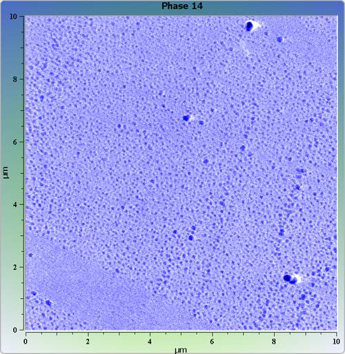 Indium phosphide (InP) on sapphire surface. AFM image. Semi-contact mode. Phase image.