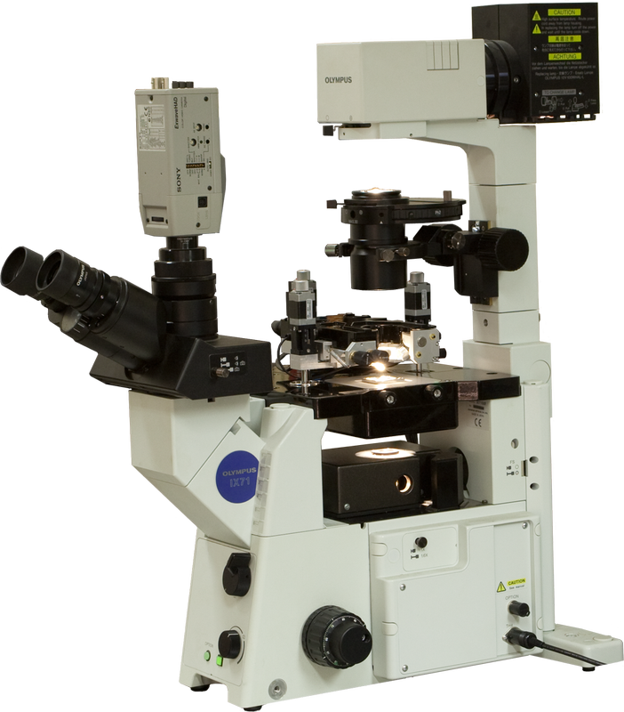 Certus Scanning Probe Microscope SPM AFM STM