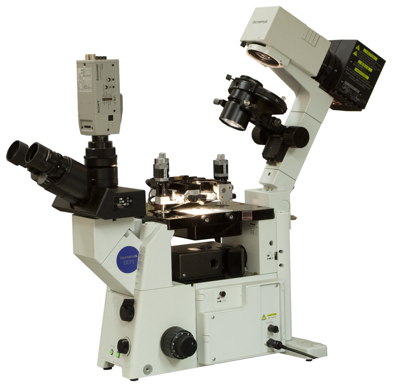 Атомно-силовой (АСМ) Certus Optic I на базе инвертированного оптического микрокопа Olympus IX71